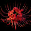 AnotherSpiderlily