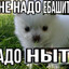 Avatar of player Продукт сокосодержащий "Банан"