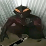 吊大精浓敢日韩红