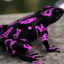 purplefroglet