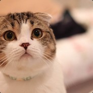 200斤魅惑小母狼