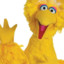 BigBird