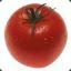 Elite_Tomato