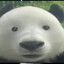 clatobomb