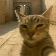 厉不厉害你坤哥