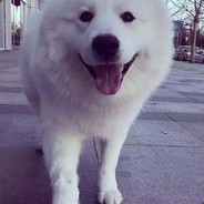 Big Avatar