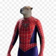 spider-mari