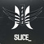 {DSK}slice_