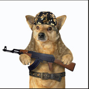 Cachorro de AK SKINS
