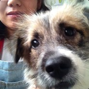 闪电大美女！！！！！