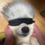 Avatar of Paddy