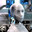 Bot Bob