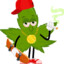 FlowKush