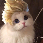 能不能分点大电