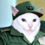 Fidel Catto