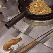 shrimp fried rice