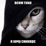 timoshkk avatar