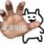 海盐焦糖味奥利奥