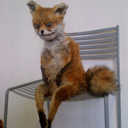 [RATS.ins] Col_Shmidt