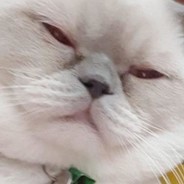 gencasln - steam id 76561198868515665