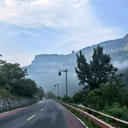 忍者神龟暴打特斯拉