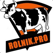 PAN DZIQ | SKINS FOR CASE