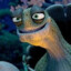 Oogway