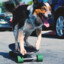 doggy skateboard