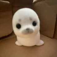 混过社会卖过萌