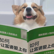 喜洋洋爆糙擎天柱