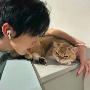 天气晴，易出行