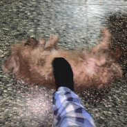 mateo
