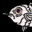 MR. FISHEYE