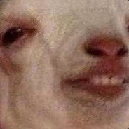 СУКА, ЗА ЧТО БАН?