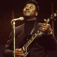 muddy waters