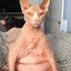 Jimmynuts