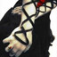 fang