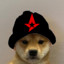 hello team]