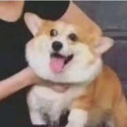 吴京倒模榨出爱国基因