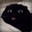 Smile Cat