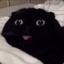 Smile Cat's avatar