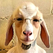 гамбит ишак