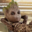 GROOT