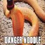 Danger Noodle