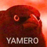 kajoj2009 ¯\_(ツ)_/¯