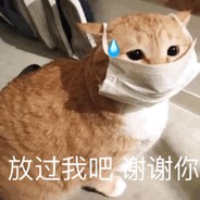 丸子猛鸭