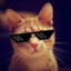 3Jlou_4uTep