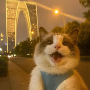 michat - steam id 76561198196825510