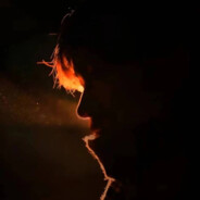 翻斗花园胡图图