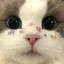 不想吃胡萝卜